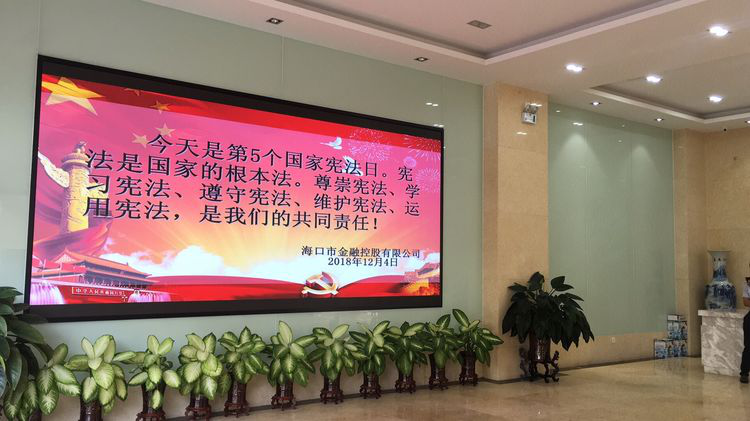 海口市擔(dān)保投資有限公司開展12.4國家憲法日宣傳活動