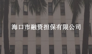 ?？谑腥谫Y擔(dān)保有限公司